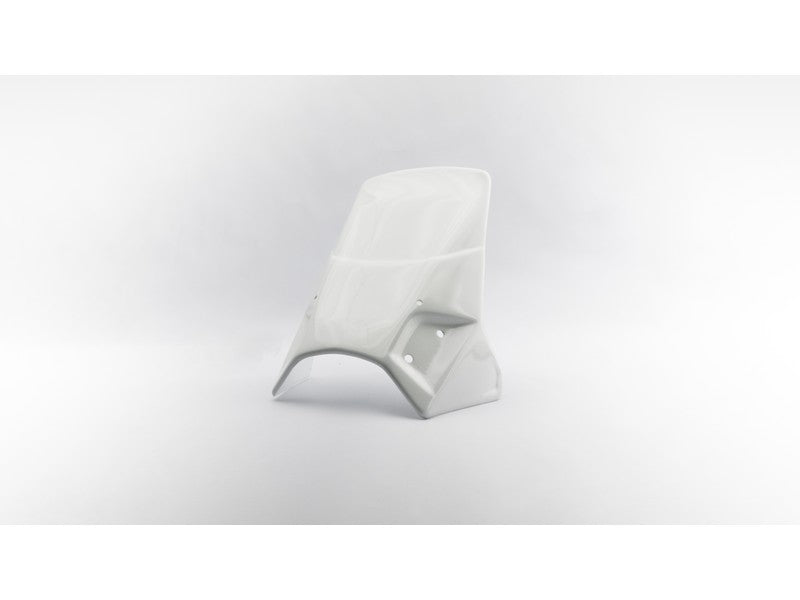 Xpulse | Rally Visor