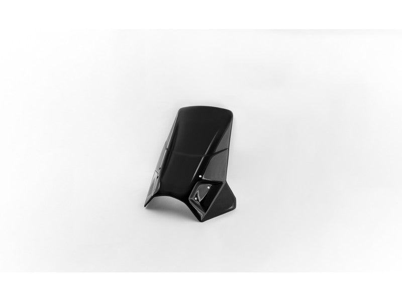 Xpulse | Rally Visor